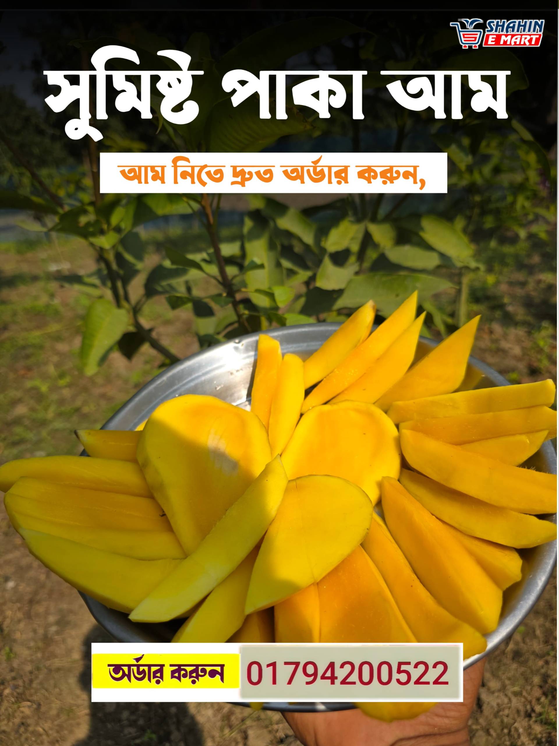 পরিপক্ক কাটিমন আম